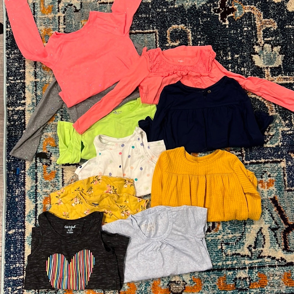 Lot Bundle of 10 Little Girls 5T Tops (Play Clothes)